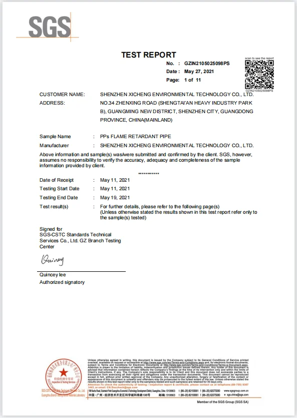 pps pipe inspection report